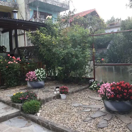 Paskal Balcsik